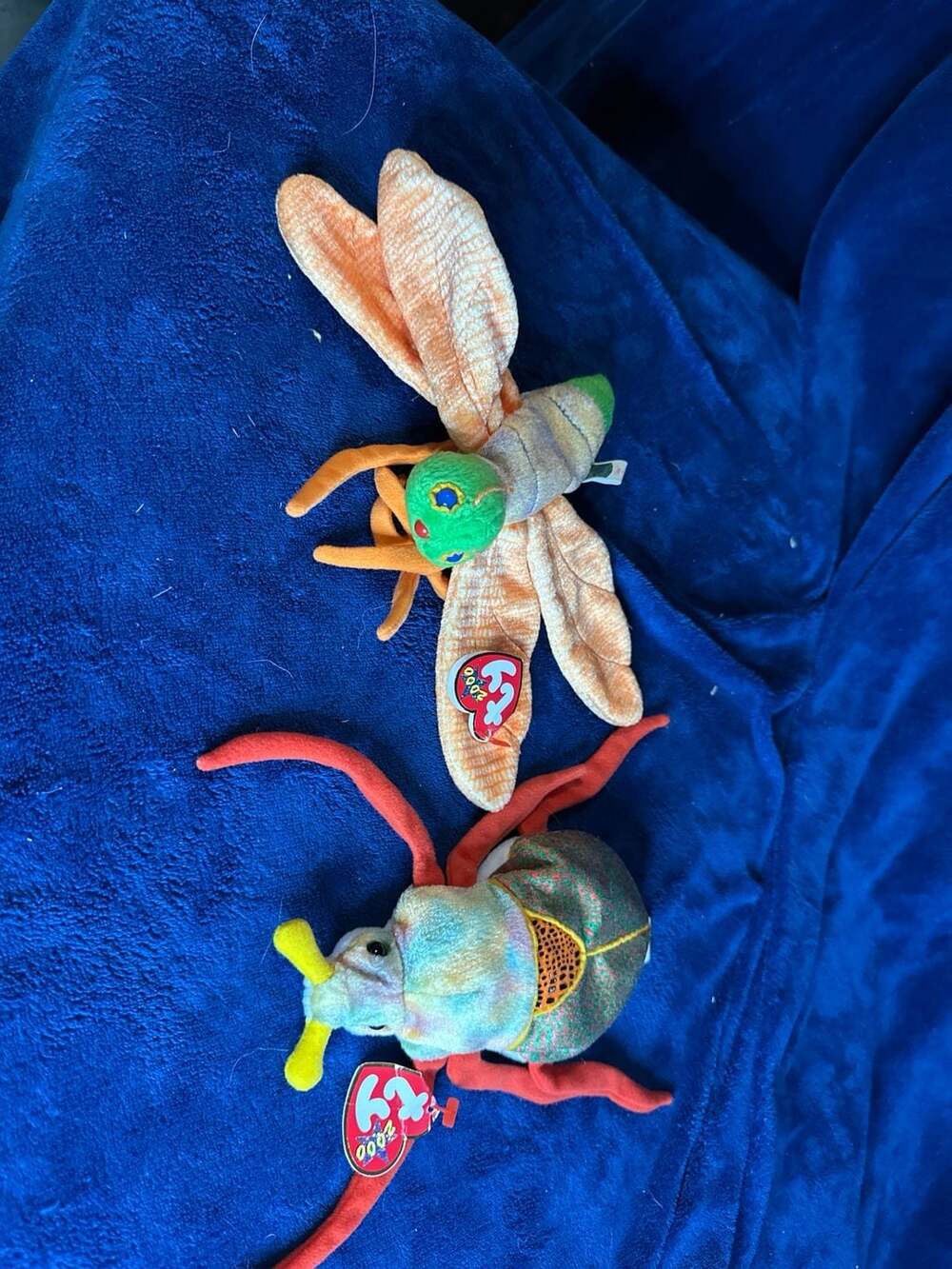 Ty Beanie Babies Glow the Dragonfly and Scurry the Beetle 2000 Plush Set